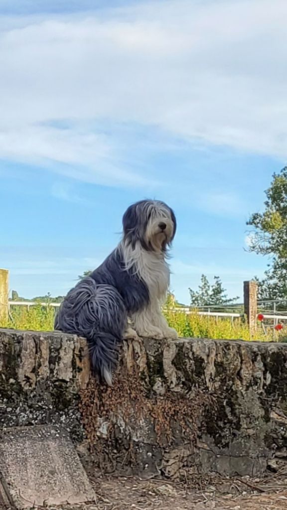 Pixy Du Mas De L'Oisonnière